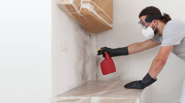 Professional Attic Mold Remediation technician working in Hillsboro, IL